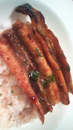 広島県宮島風✨あなごめし