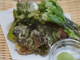 山菜・山ぶどうタラの芽コシアブラの天ぷら