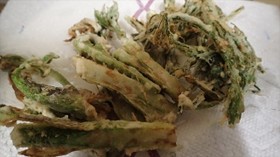 タラの芽、タチシオデの天ぷら